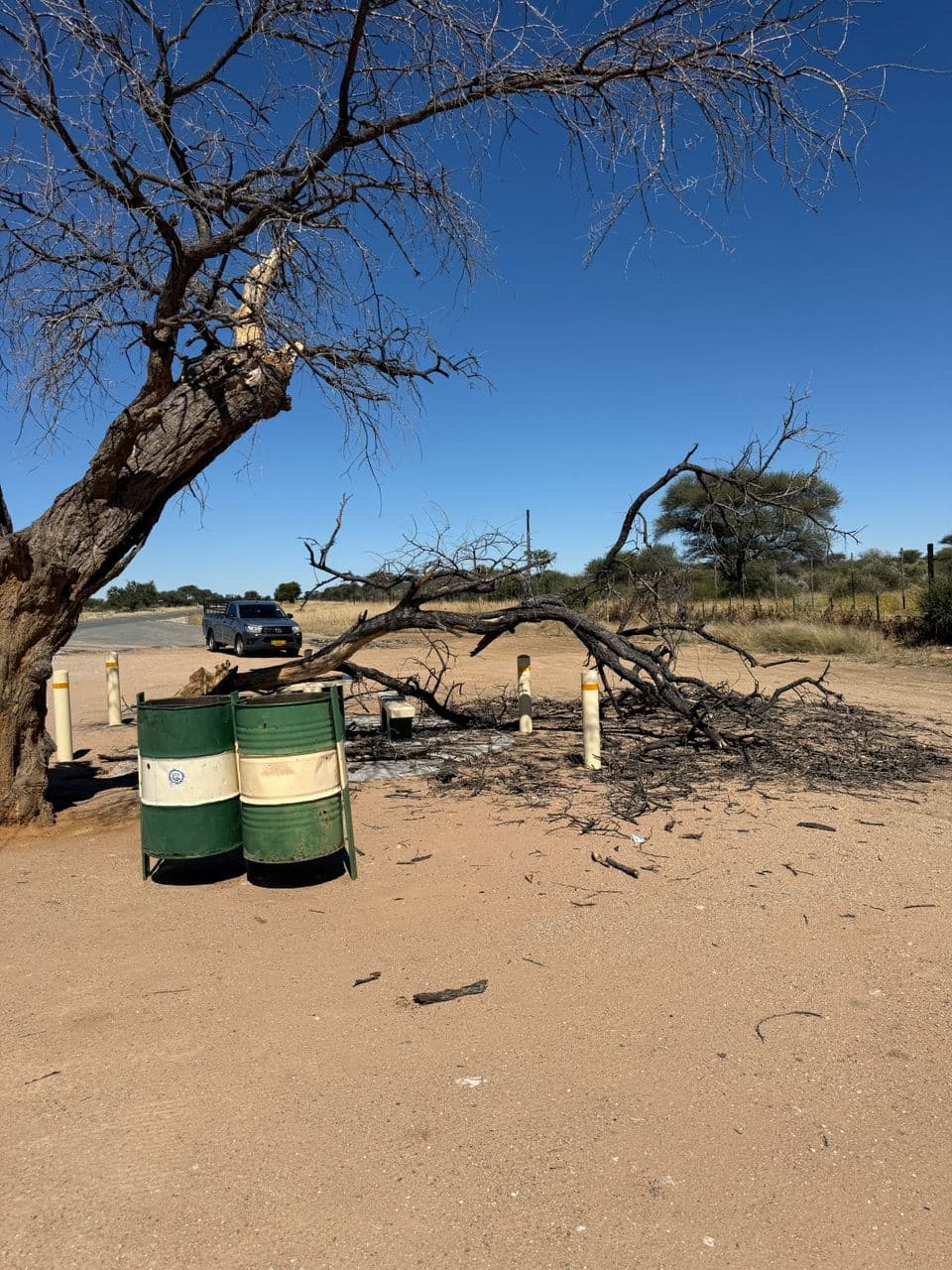 Outdoor work equipment beneath a tree